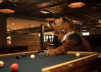 mascot Regi plays pool in the Student Center