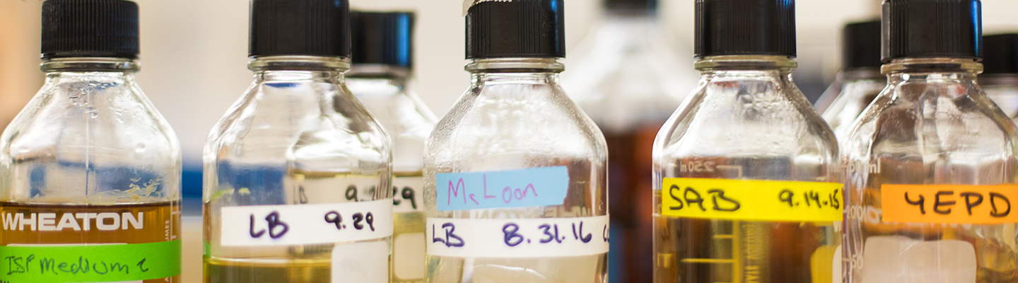 glass jars of chemistry solutions and liquids