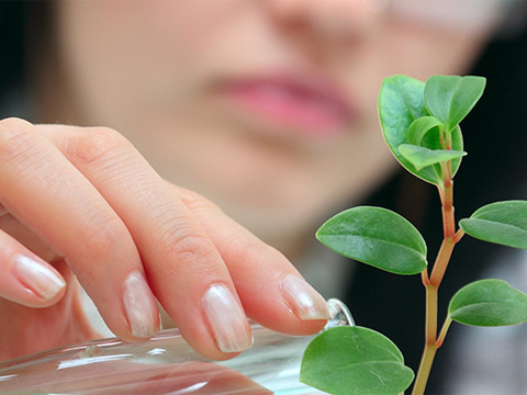 Environmental Biology
