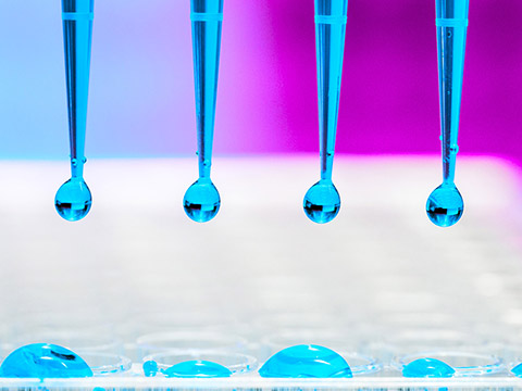 Biomedical Sciences