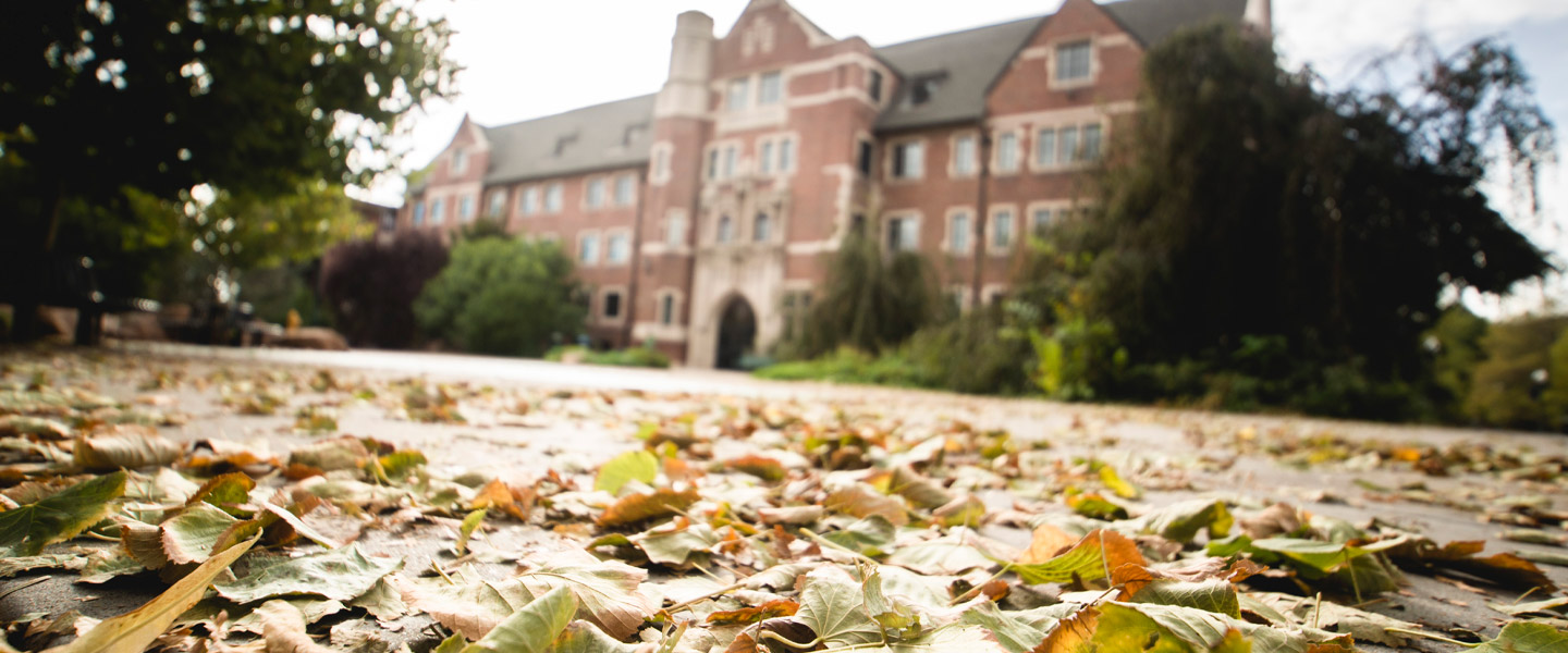 fall leaves on ground, blurry carroll hall