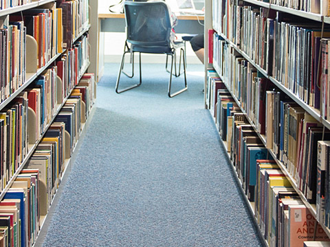 Education: Literacy