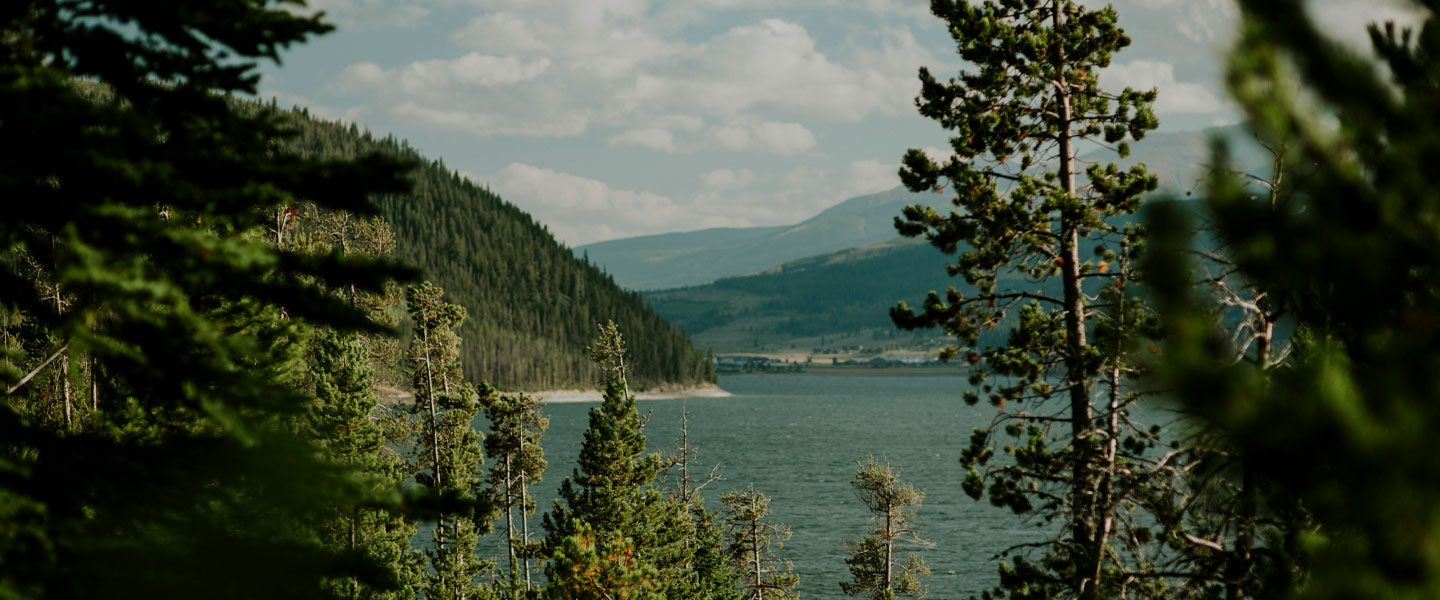 mountain lake and forest