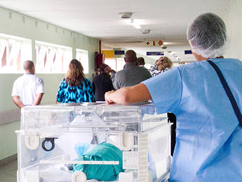Nursing: Neonatal Nurse Practitioner