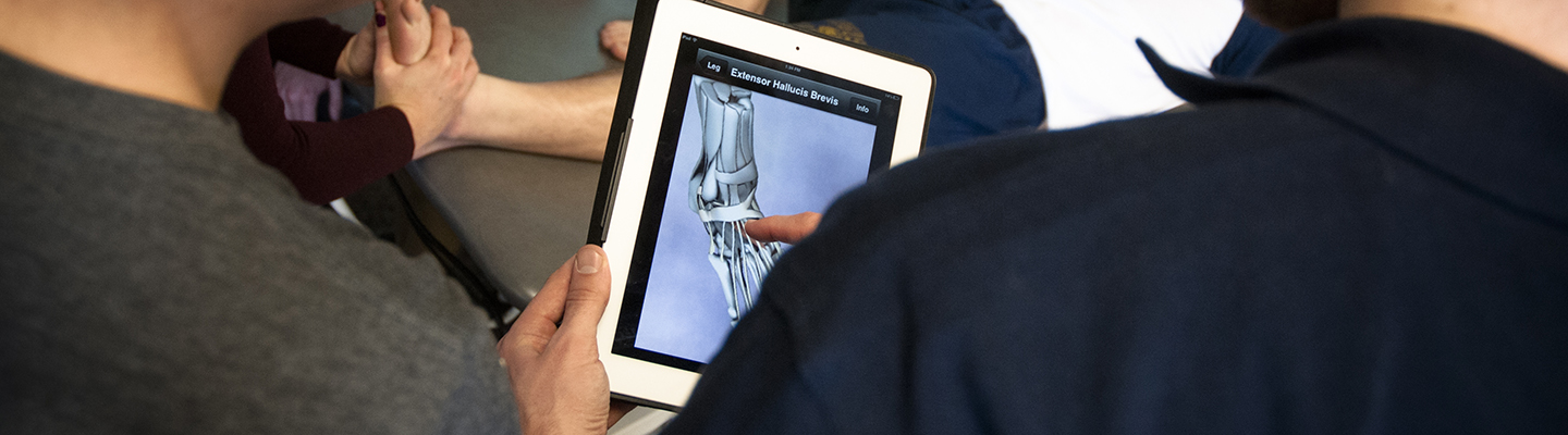 students looking at bones of foot on tablet