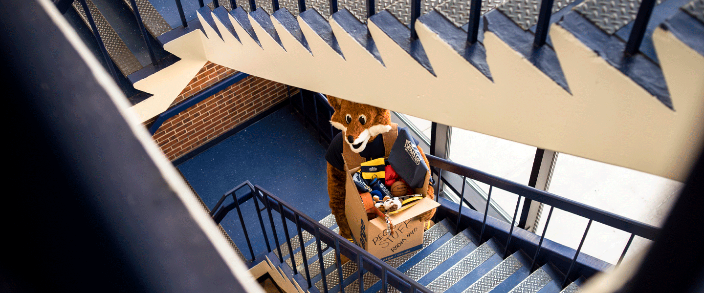 mascot climbs stairs with box