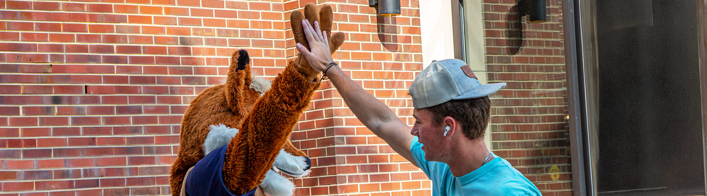 Regis mascot, Regi the Fox, gives a student a high five on the Quad on the Denver campus