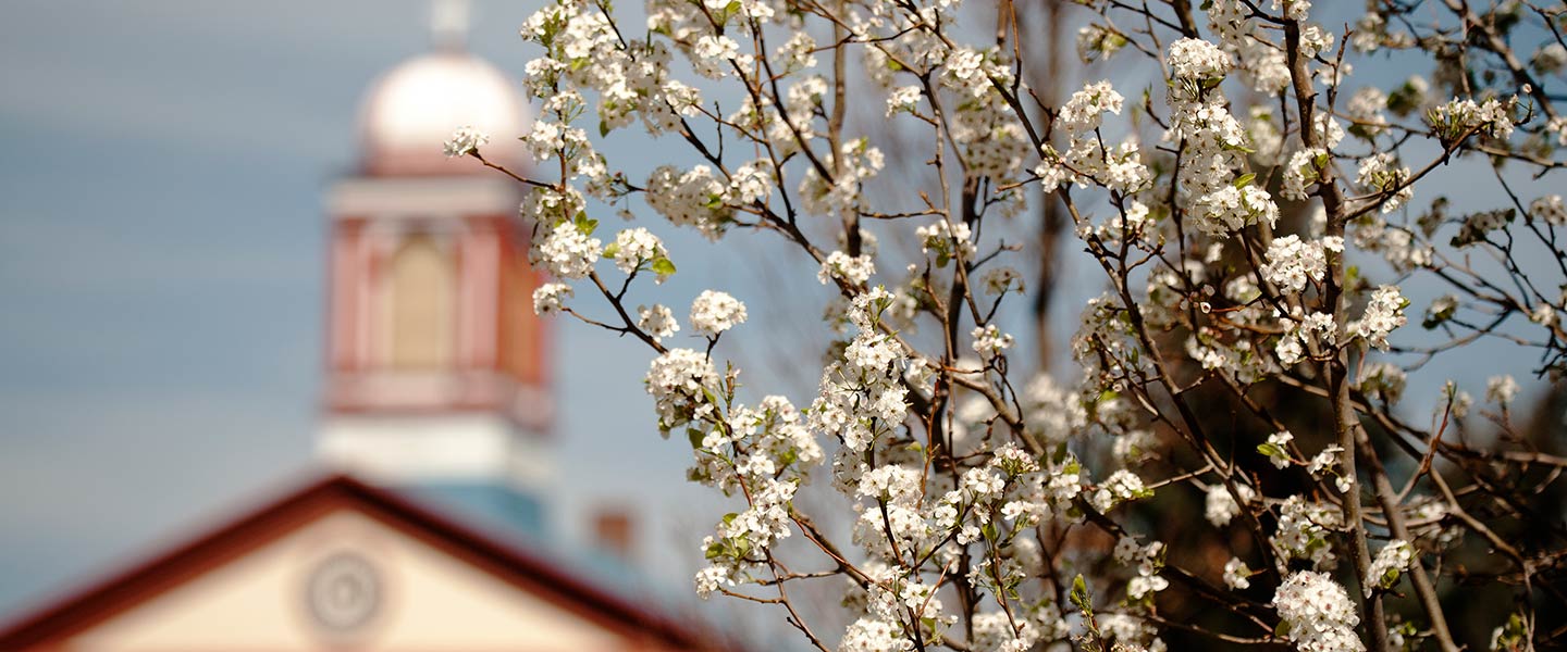 Spring bloom on beautiful Regis University Campus