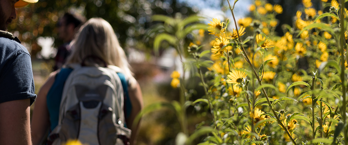 students walking through sustainability gardens