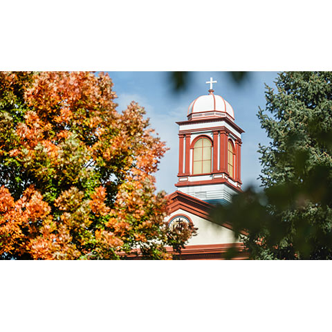 photo of the Main Hall cupola viewed from the ground, between fall trees