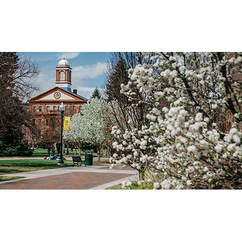 A view of main hall from across the quad, viewed through trees showing off with spring flowers