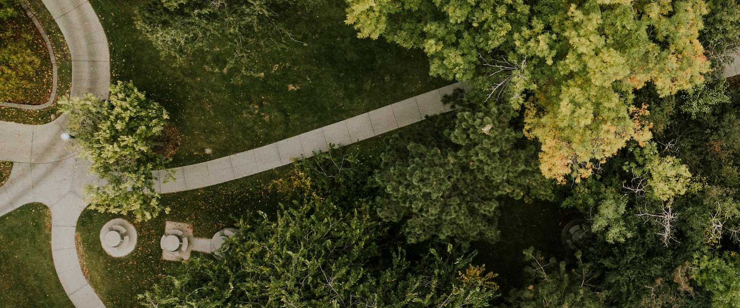 aerial view of campus pathway winding through trees