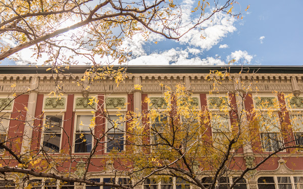 Elegant facade with intricate architectural details, framed by tree branches with autumn leaves
