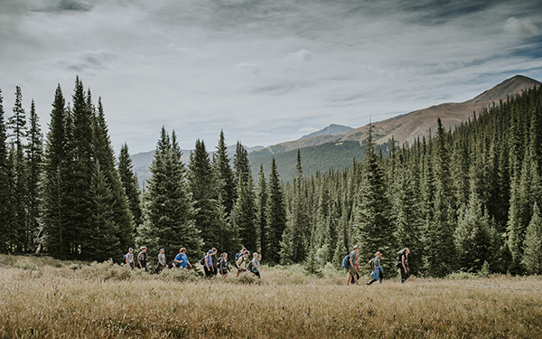 pine trees in mountains during hike