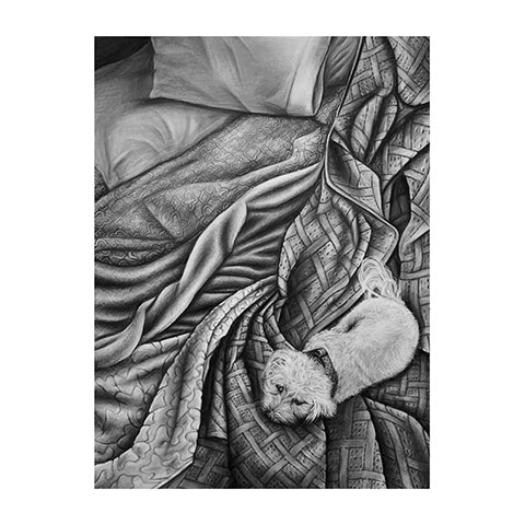 drawing of rumpled bedding and small dog