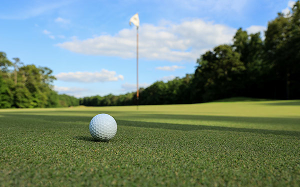 golf ball on green