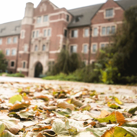 fall leaves on ground outside Carroll Hall