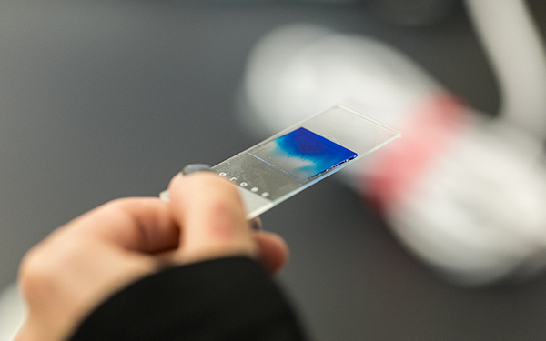 close up shot of a hand holding a colored test strip