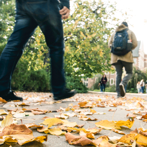 students walk on leaves