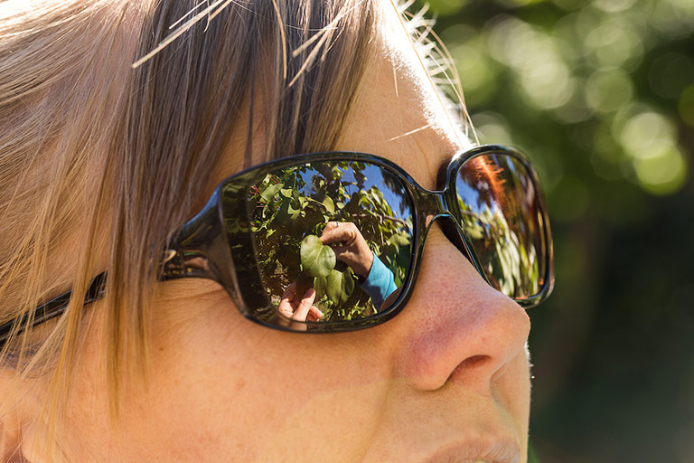 reflected in her sunglasses, a woman studies plants with her hands 