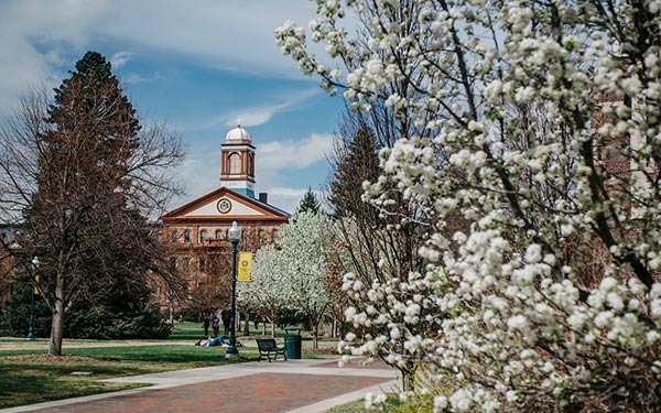 Regis Main hall in the springtime