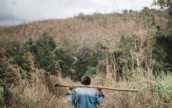 man in field