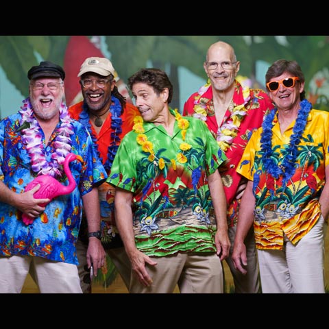 The five members of the Margarita Brothers band smiling in colorful Hawaiian shirts and leis.