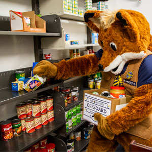mascot putting food items on pantry shelves