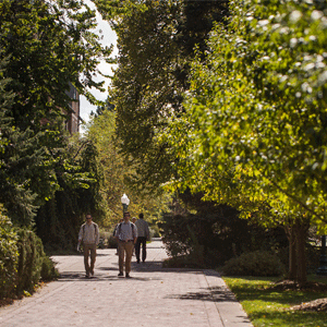 people walk down green path