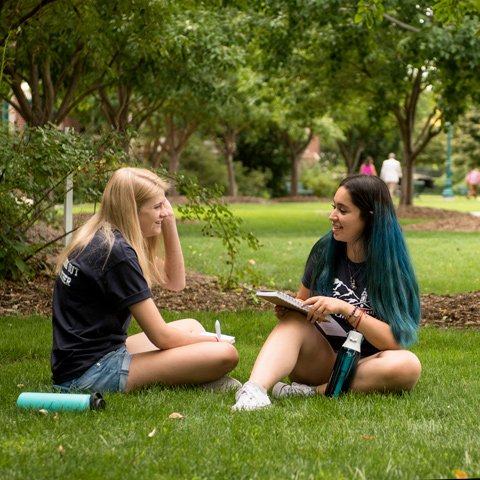 Two students working on a class project outside, sitting on a grassy lawn