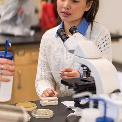 Chemistry students observe microscope slide