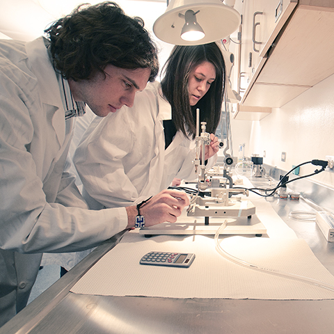 Chemistry students test materials