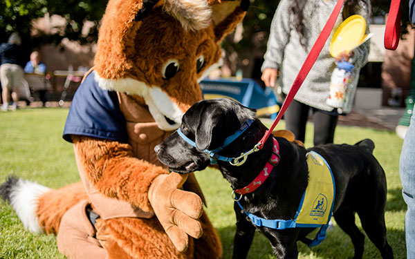 Regi hanging out with his service dog friend