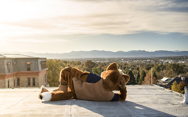 regi on the roof