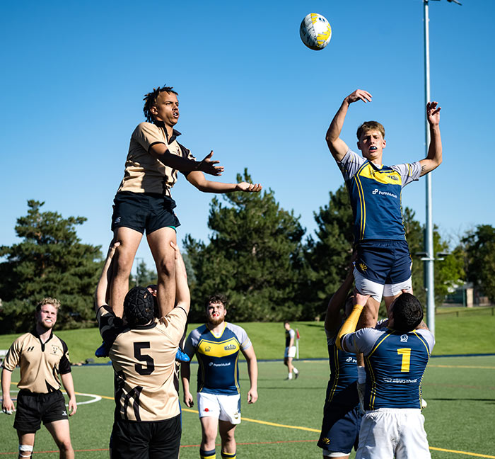 Regis Rugby pyramid 