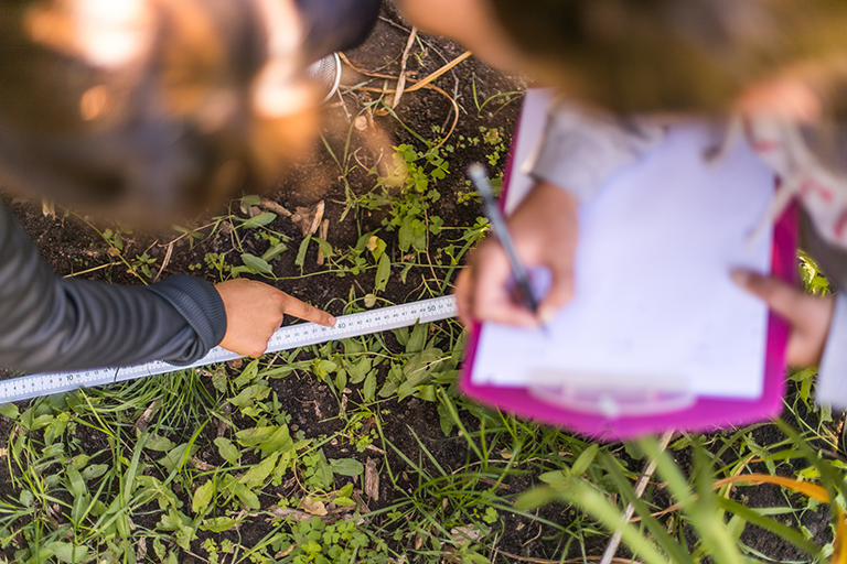 students measuring the ground and make notes on a clipboard