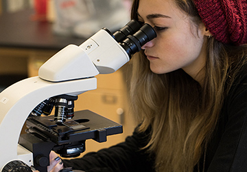 doctoral candidate performing lab work with microscope