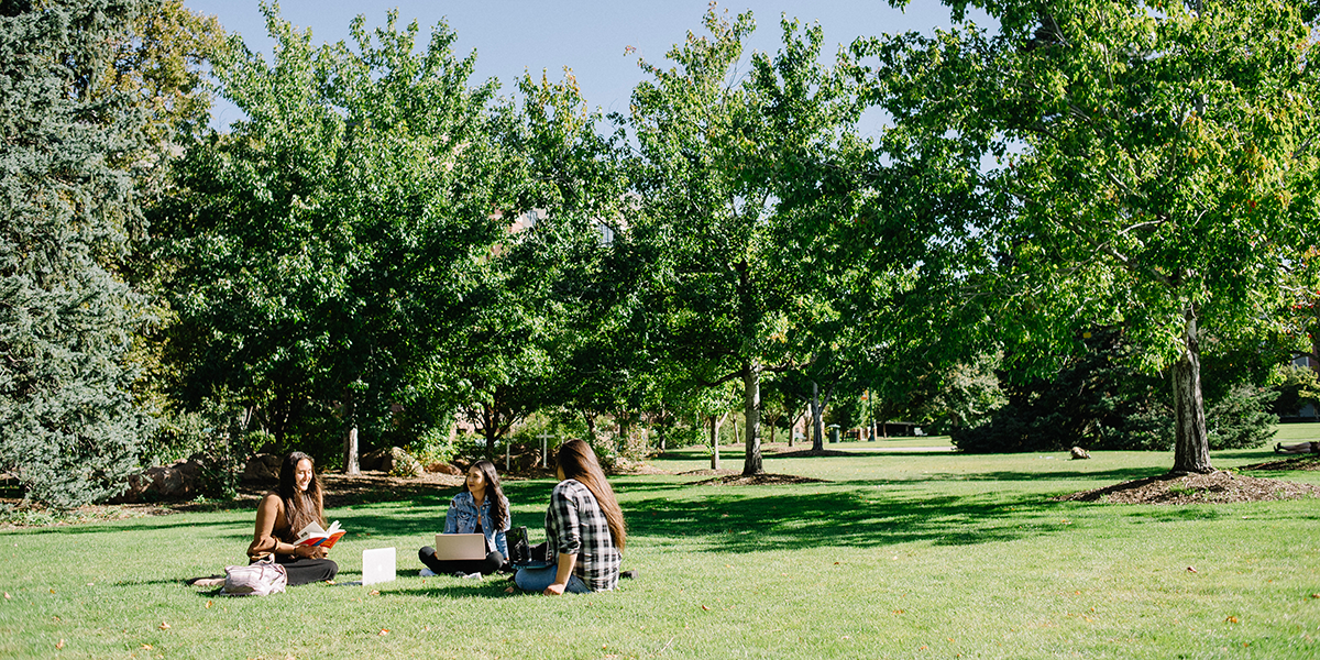 three students sit in grass on commons