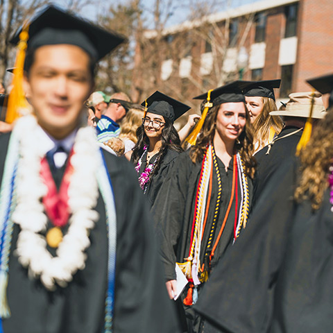 a crowd of bachelor's graduates wearing regalia at the Spring commencement ceremony on the Quad on the Northwest Denver campus