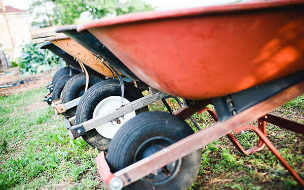 so much depends upon a red wheel barrow glazed with rain water