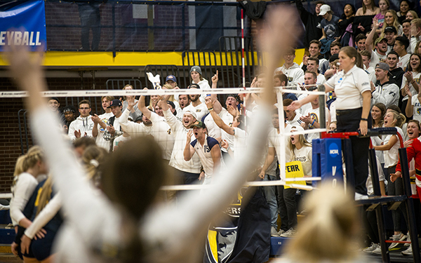 Crowd cheering at a women's volleyball game