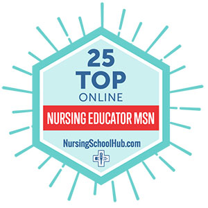Top 25 online nursing educator MSN NursingSchoolHub.com