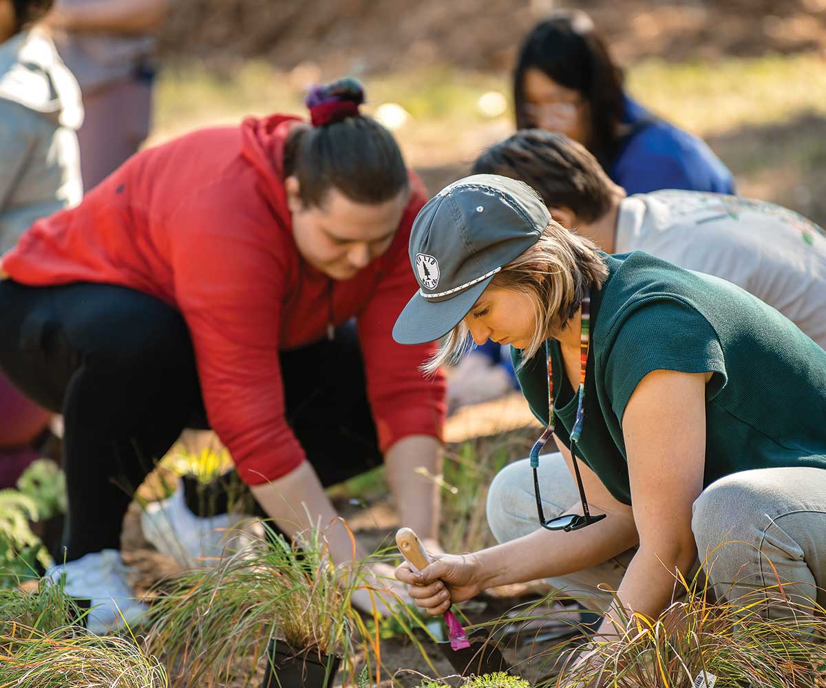 Students and faculty members dig into a patch of land and prepare to place plants native to Colorado