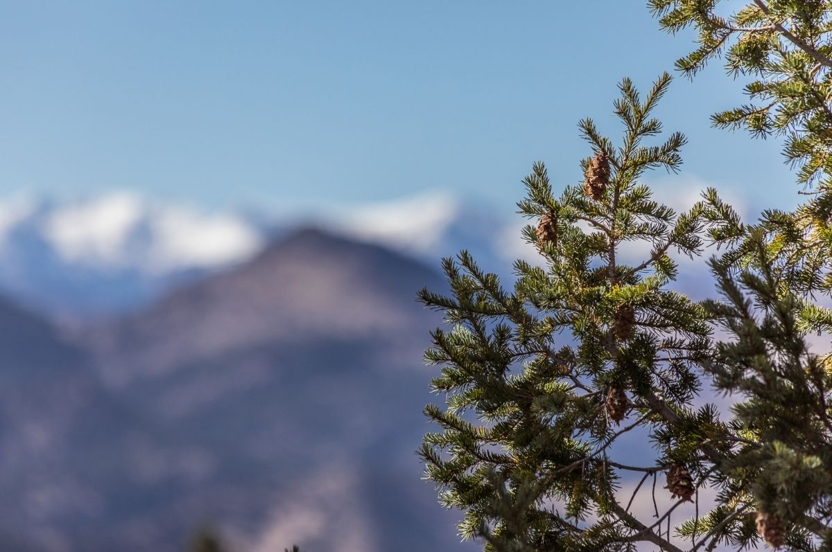 Scenic shot of Lookout Mountain.