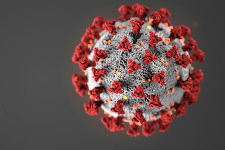 Coronavirus (COVID-19) diseases structure