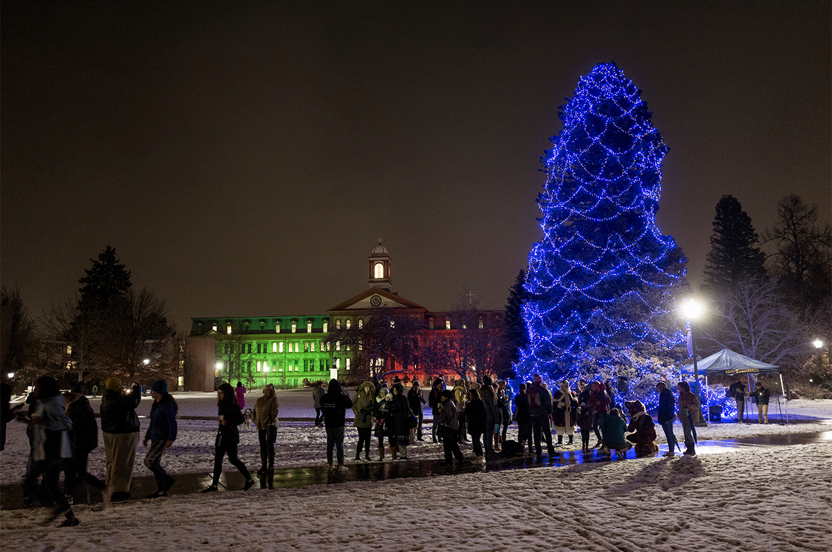 The Grand Old Christmas tree on Regis University's Northwest Denver Campus