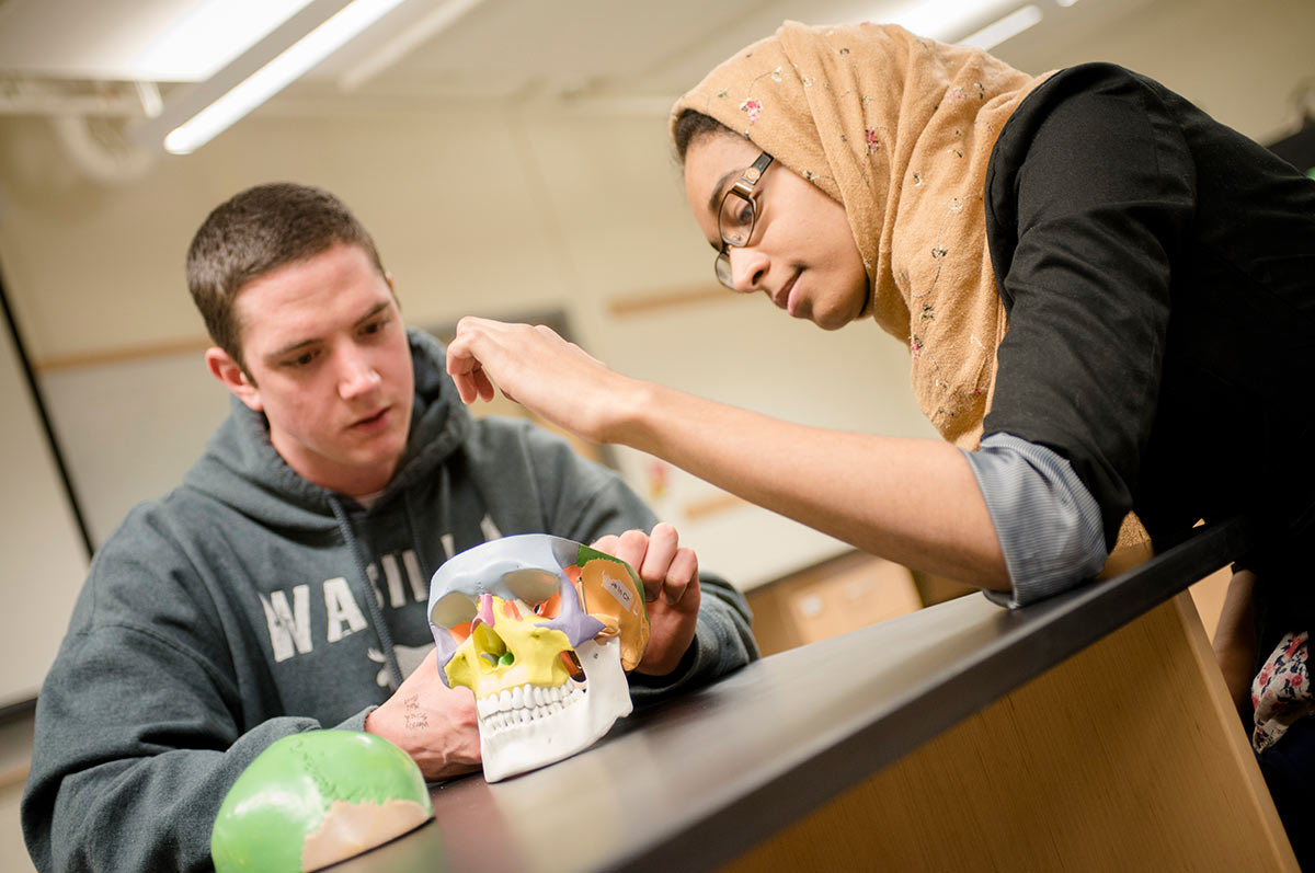 Regis University students looking into the human brain
