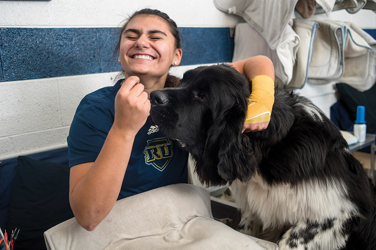 Norman the Therapy Dog