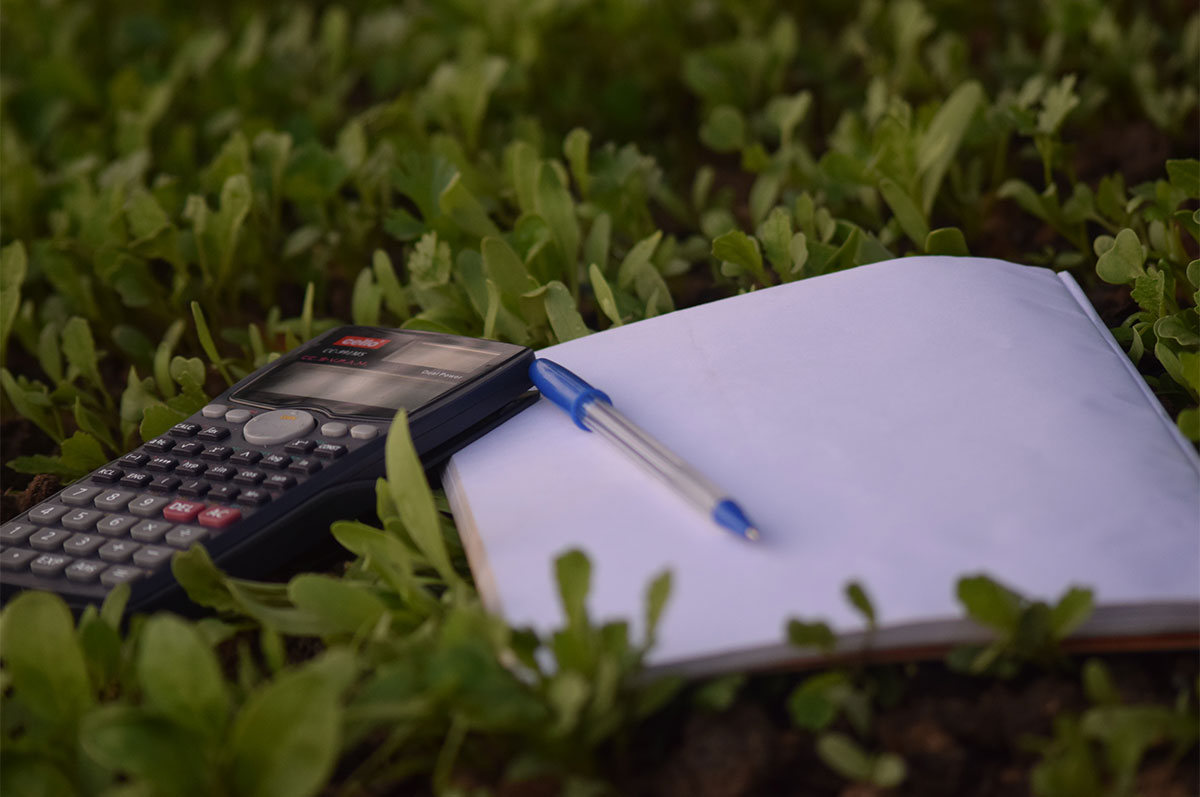 calculator, pen and notebook on grass