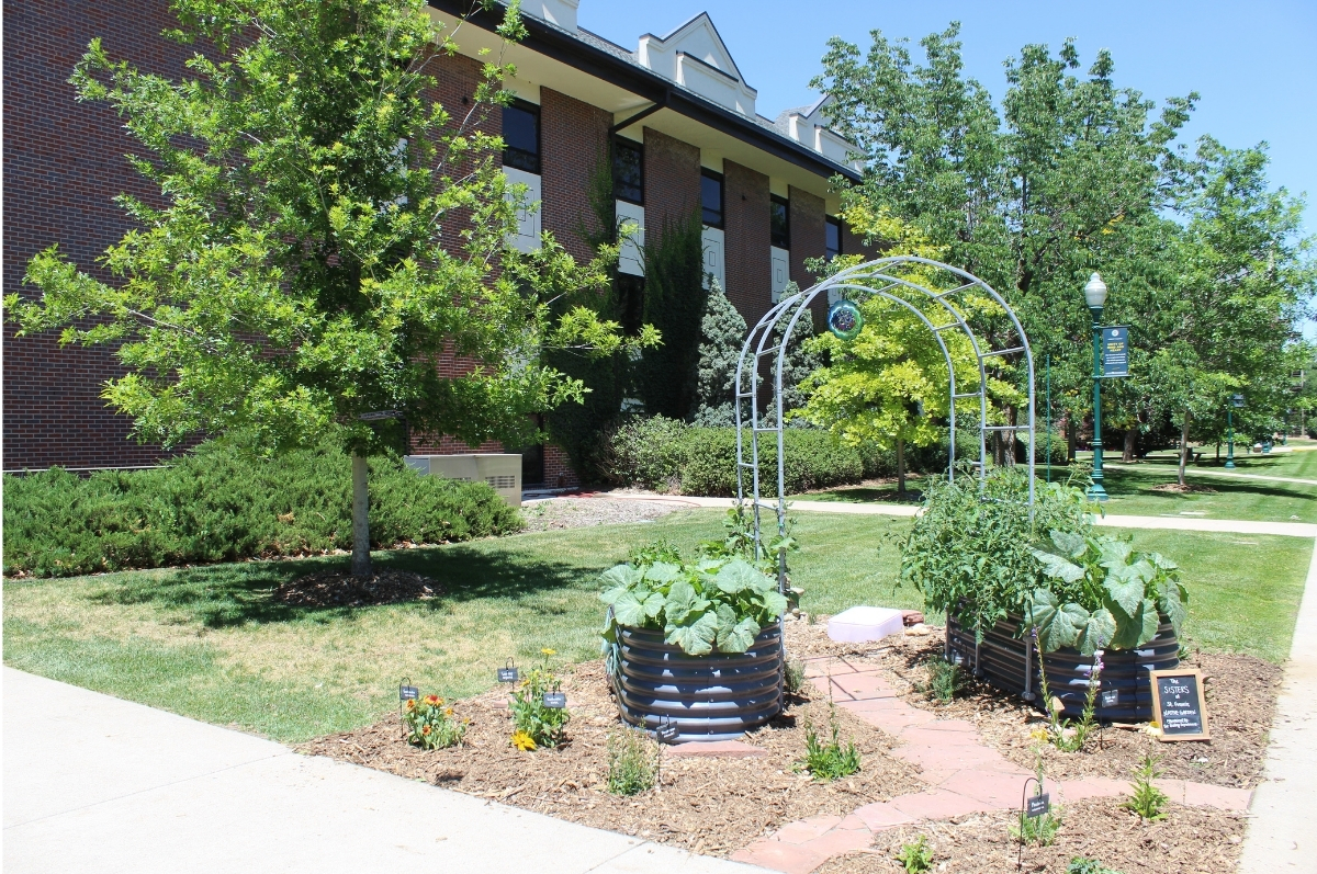 Biology garden on the east side of the science building on campus
